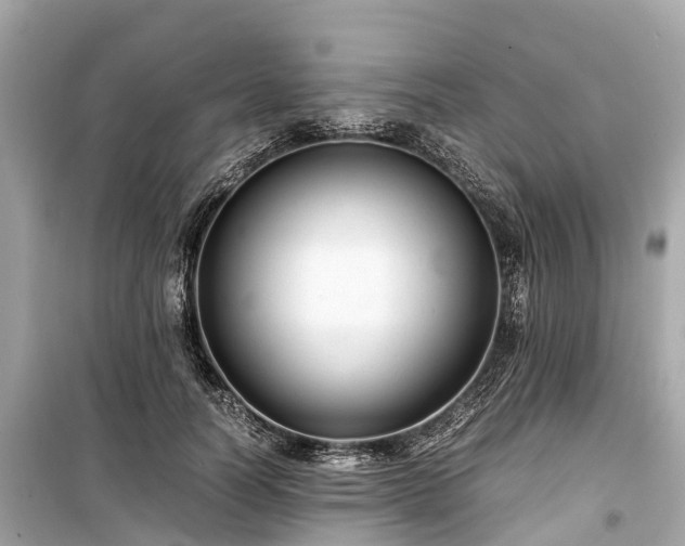 X0000099430746200805161110