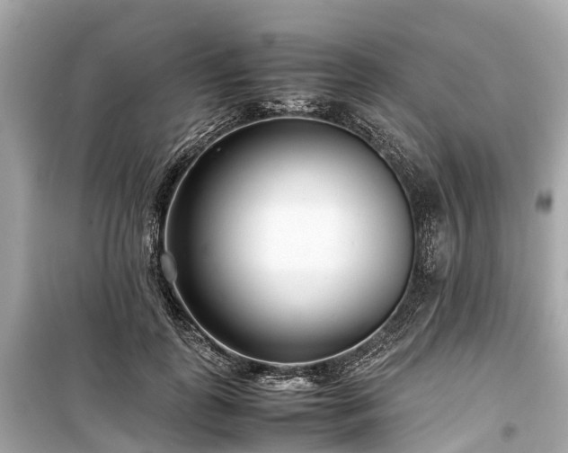 X0000099430747200805161110