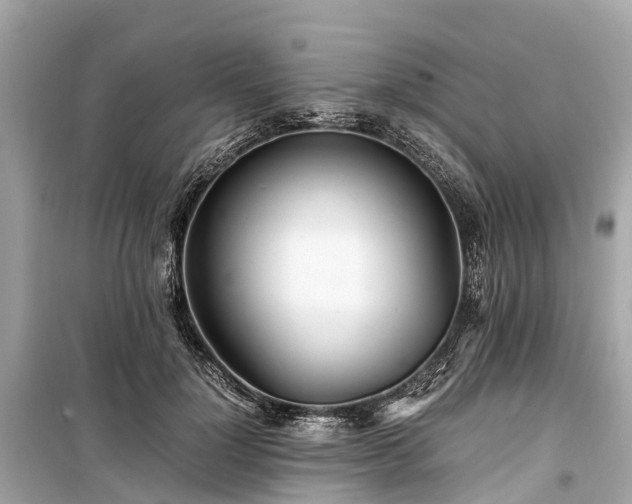 X0000099430748200805161110