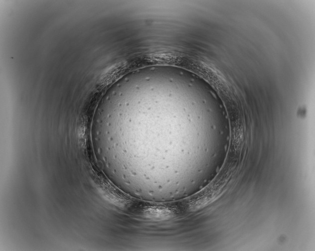 X0000099430749200805161110