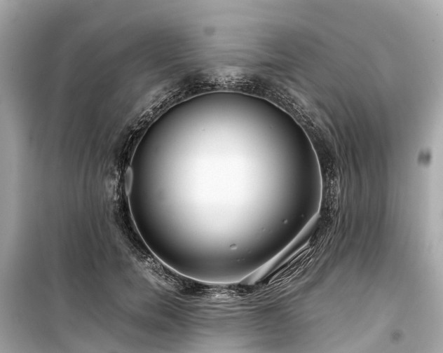 X0000099430750200805161110