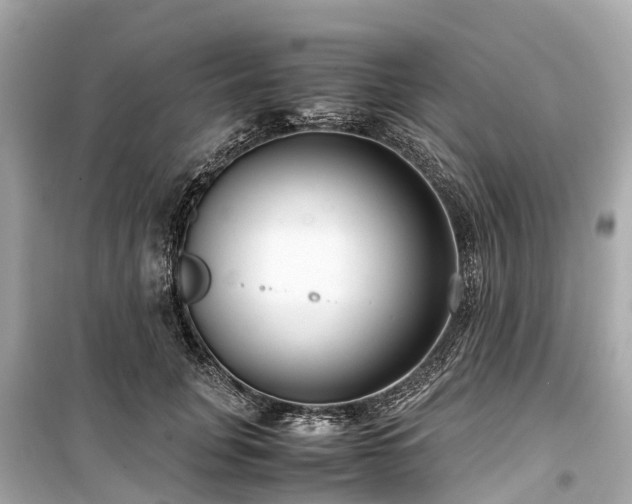 X0000099430751200805161110