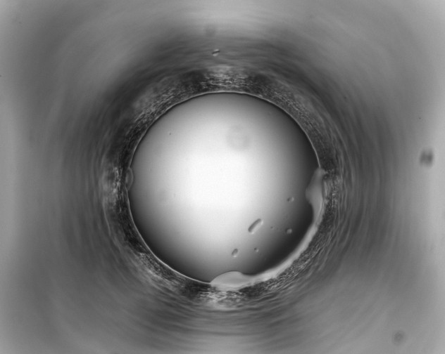 X0000099430752200805161110