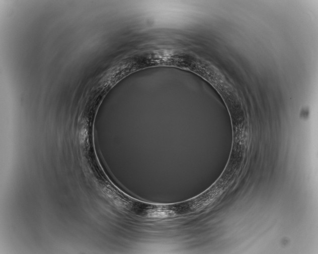 X0000099430754200805161110