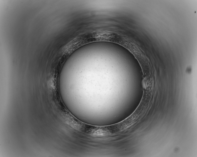 X0000099430755200805161110