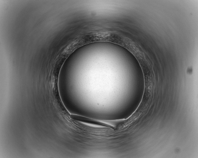 X0000099430758200805161110