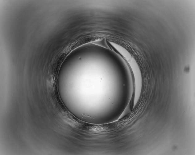 X0000099430759200805161110