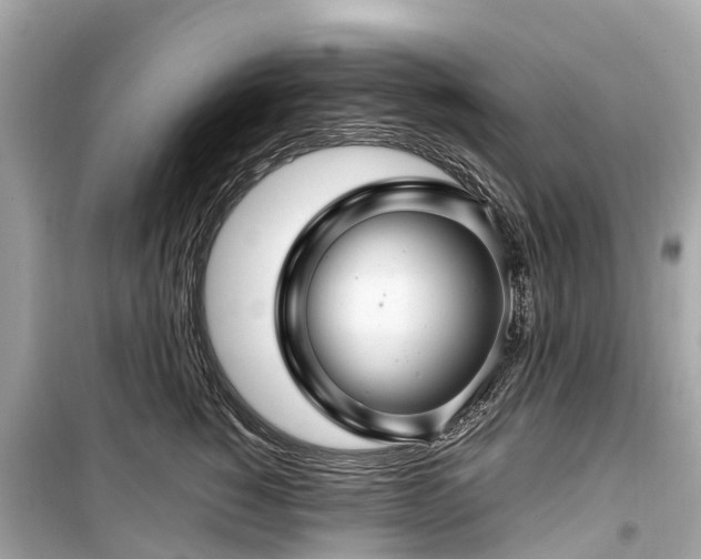 X0000099430760200805161110
