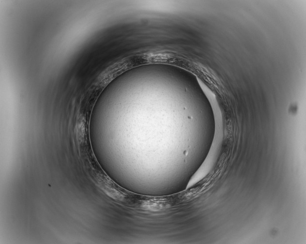 X0000099430761200805161110