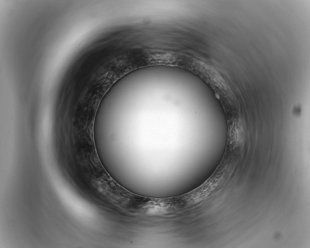 X0000099430764200805161110