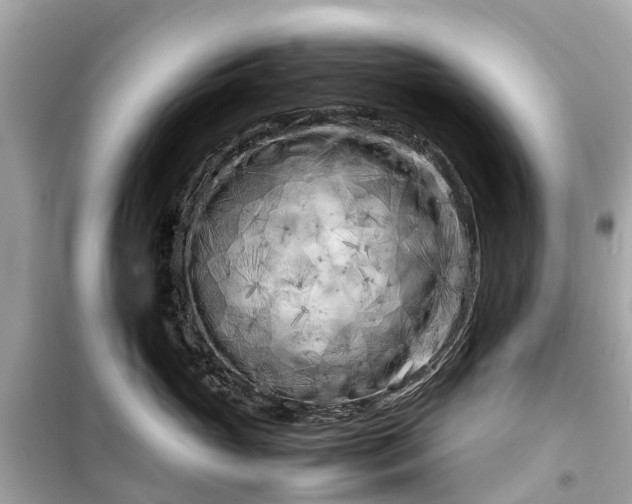 X0000099430765200805161110