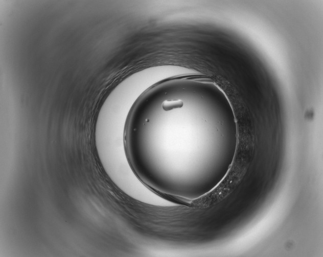 X0000099430766200805161110