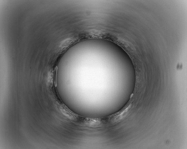 X0000099430768200805161110