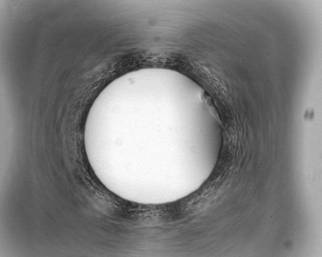 X0000099430769200805161109