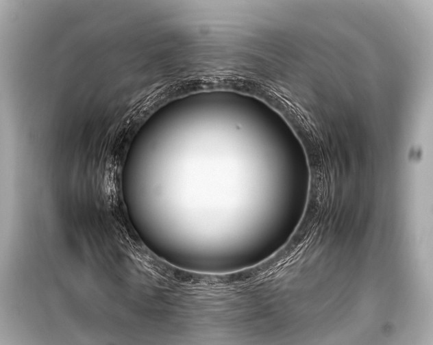 X0000099430770200805161109
