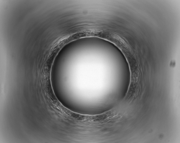 X0000099430773200805161109