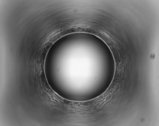 X0000099430774200805161109