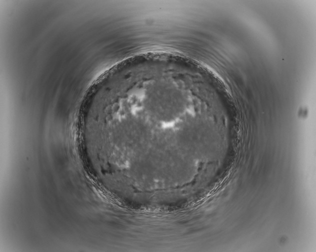 X0000099430775200805161109