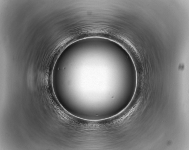 X0000099430777200805161109