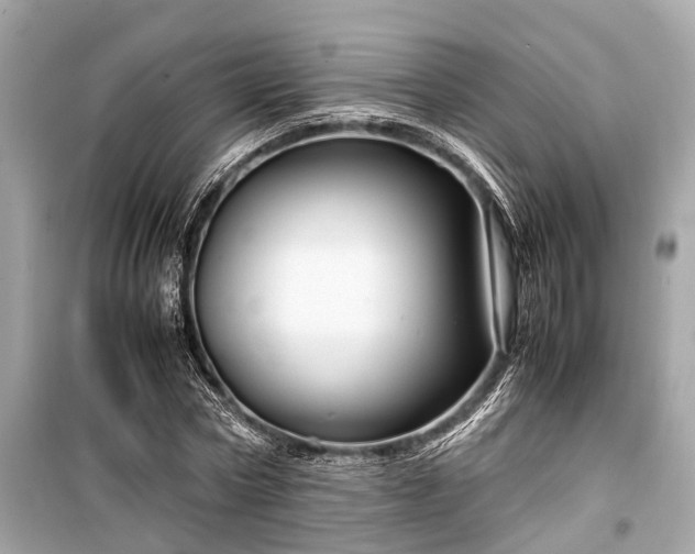 X0000099430778200805161109