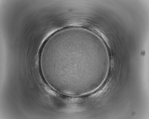 X0000099430779200805161109