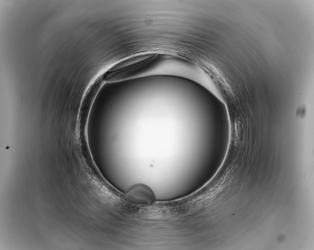 X0000099430780200805161109