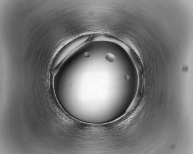 X0000099430781200805161109