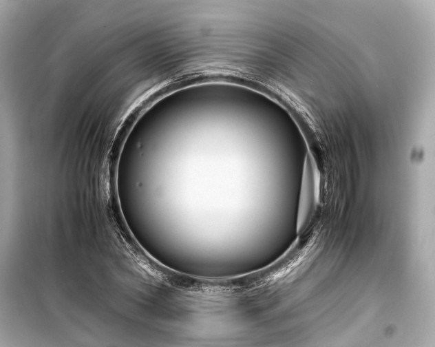 X0000099430782200805161109