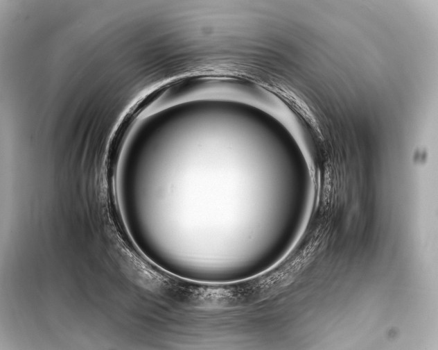 X0000099430784200805161109