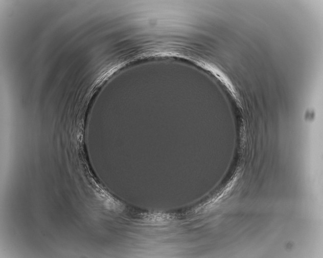 X0000099430785200805161109