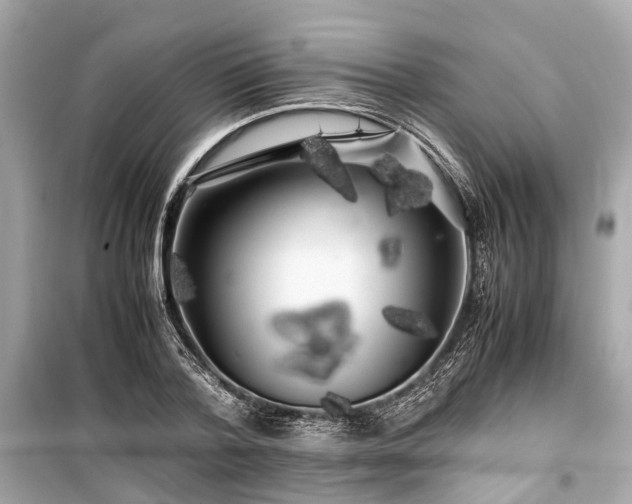 X0000099430788200805161109