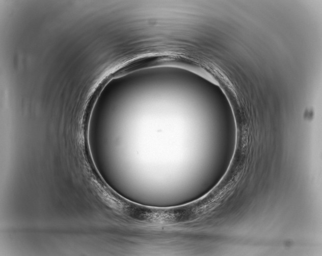 X0000099430789200805161109