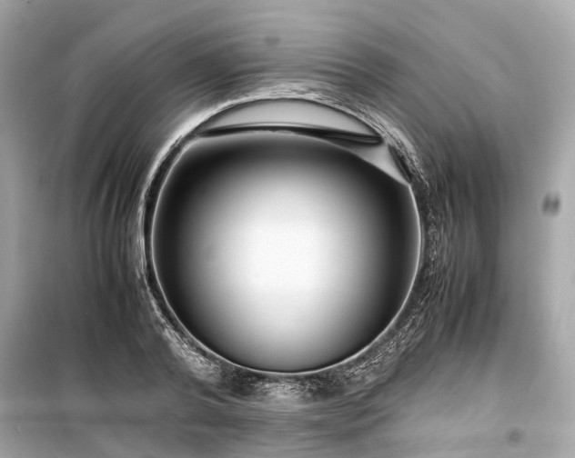 X0000099430792200805161109
