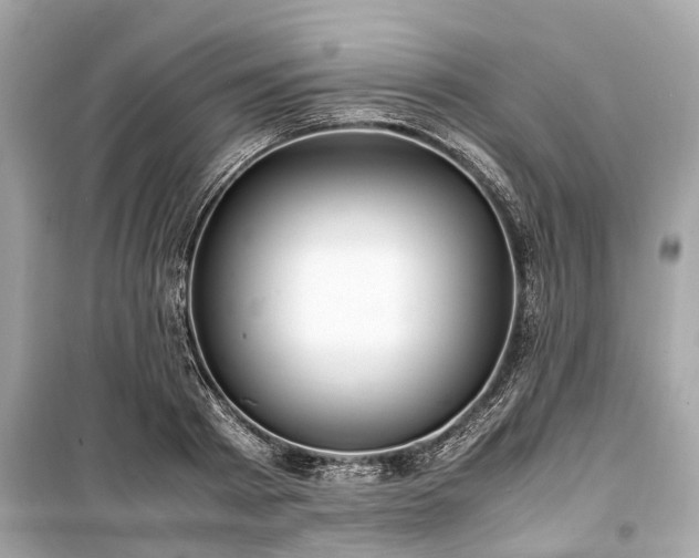 X0000099430793200805161109
