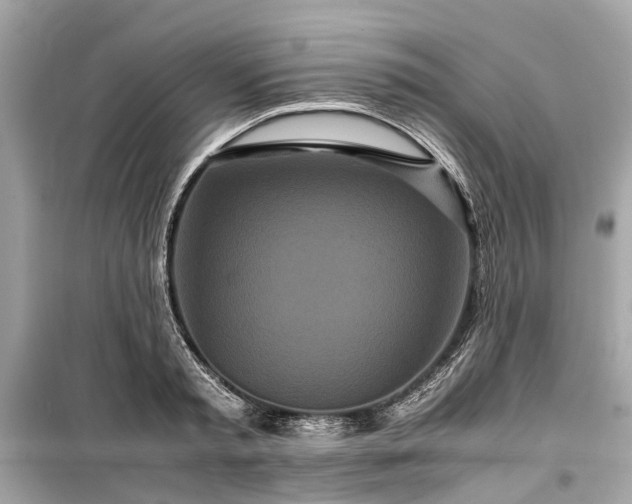 X0000099430797200805161109
