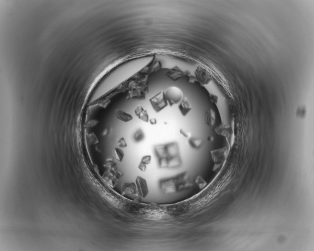 X0000099430798200805161109