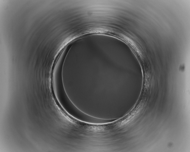 X0000099430802200805161109