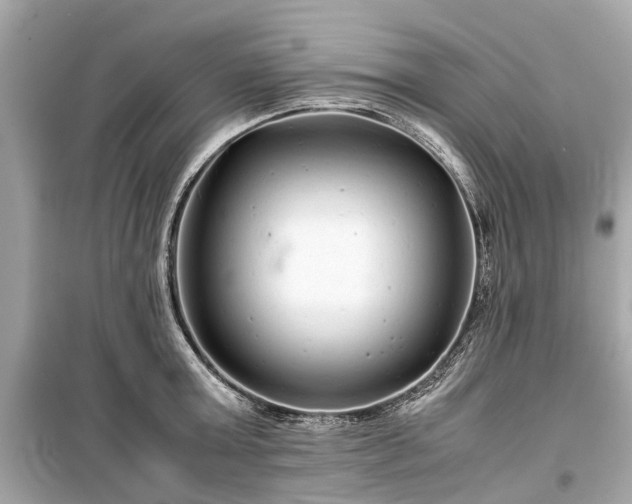 X0000099430803200805161109
