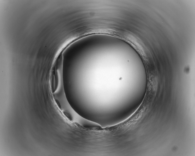 X0000099430804200805161109