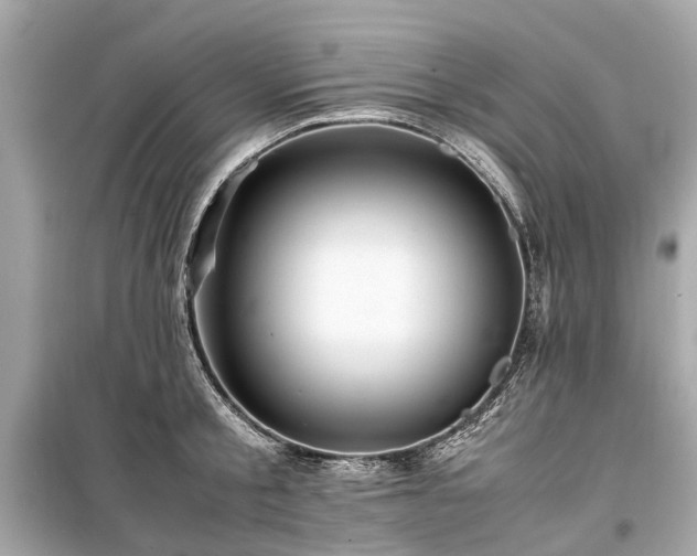 X0000099430805200805161109
