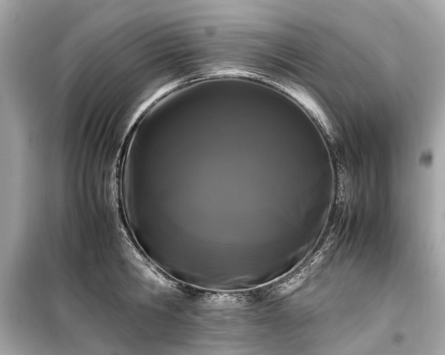 X0000099430806200805161109