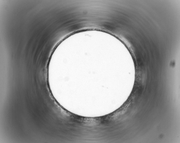X0000099430807200805161109