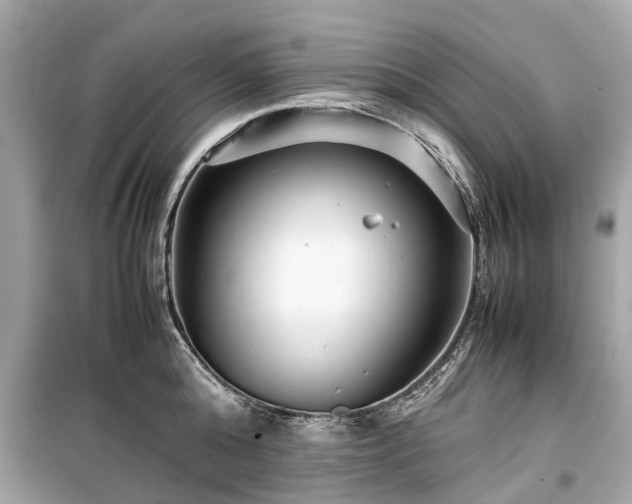 X0000099430808200805161109