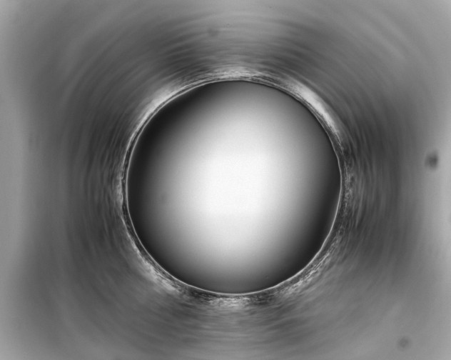 X0000099430810200805161109