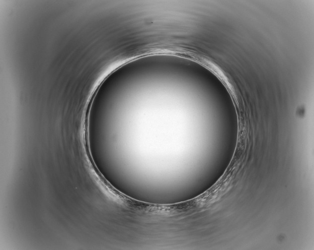 X0000099430811200805161109
