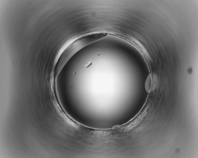 X0000099430812200805161109