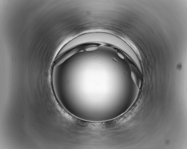 X0000099430813200805161109