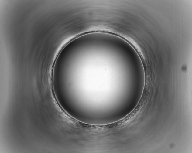 X0000099430815200805161109