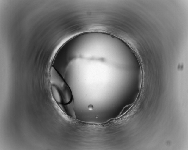 X0000099430816200805161108