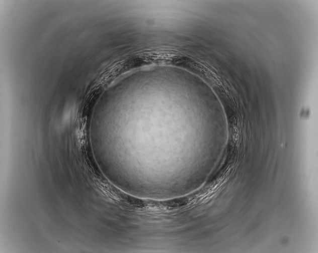 X0000099430818200805161108